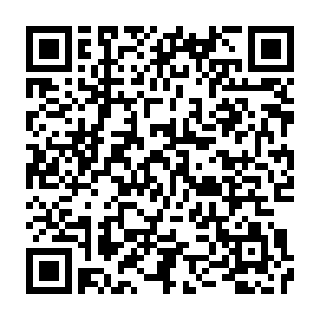 【福岡・天神】博多炉端FISHMAN・魚男｜居酒屋・ランチ・ディナー